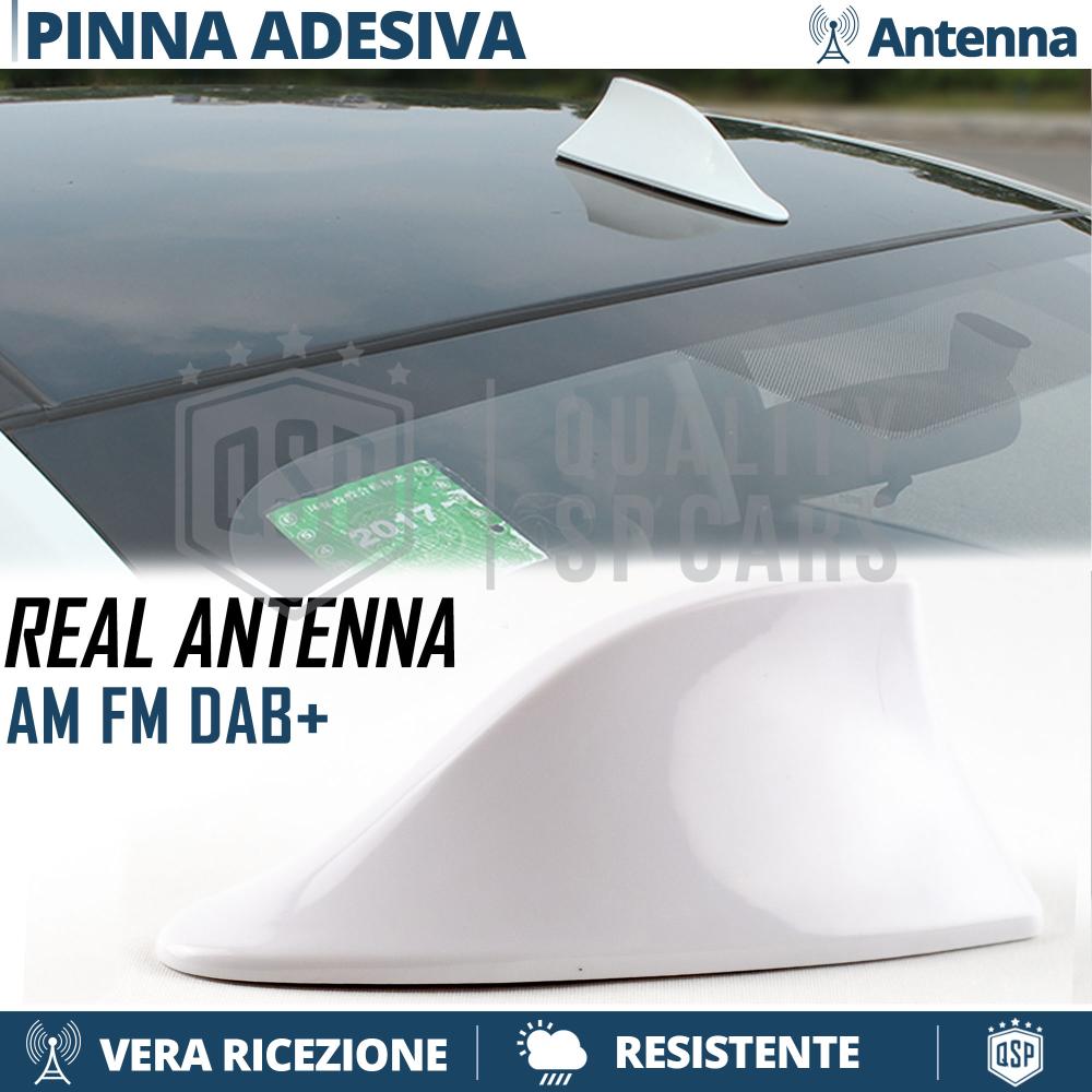 antena-aleta-tiburon