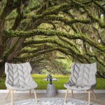 Antihumedad Bosque Verde: La solución eficaz para eliminar la humedad en tu hogar y disfrutar de un ambiente fresco y saludable antihumedad-bosque-verde