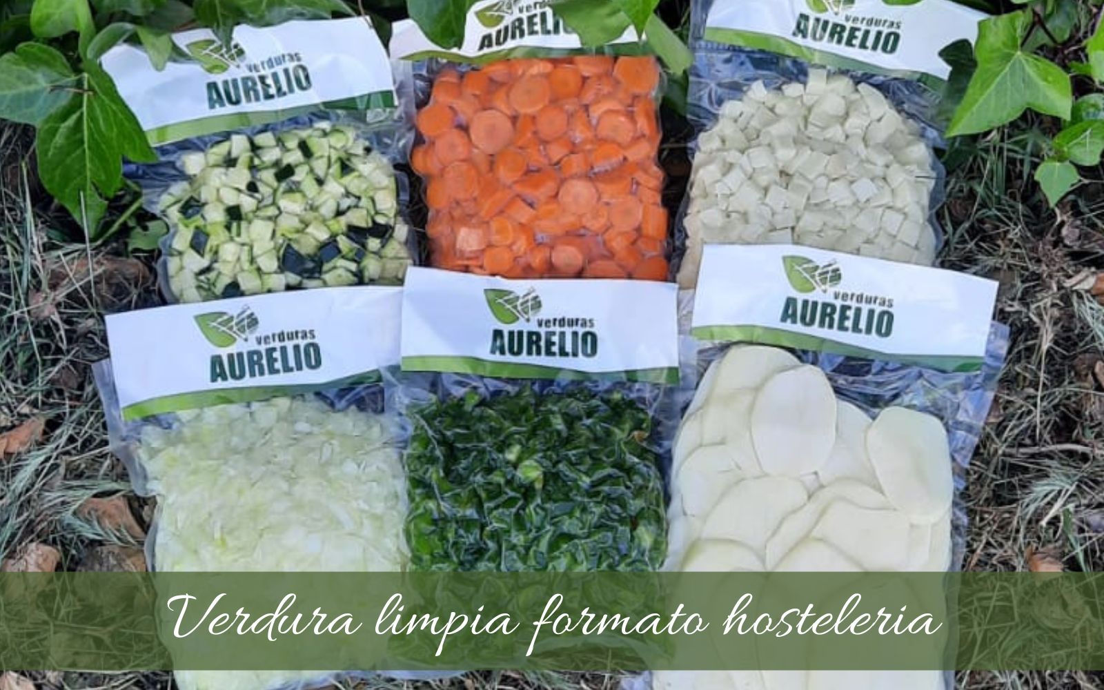 borraja-mercadona-verdura