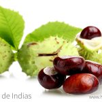 castano-de-indias