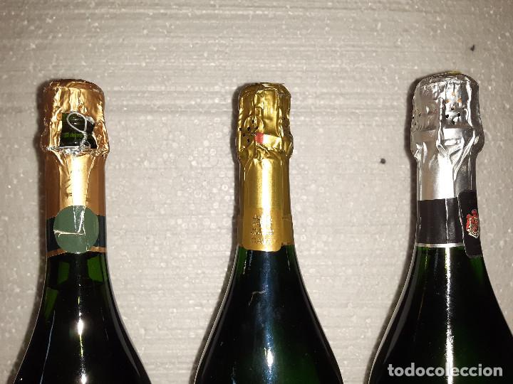 cava-codorniu-prima-vides