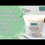 chinches-insecticida-mercadona