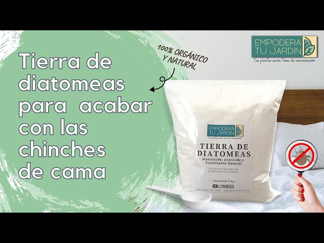 chinches-insecticida-mercadona