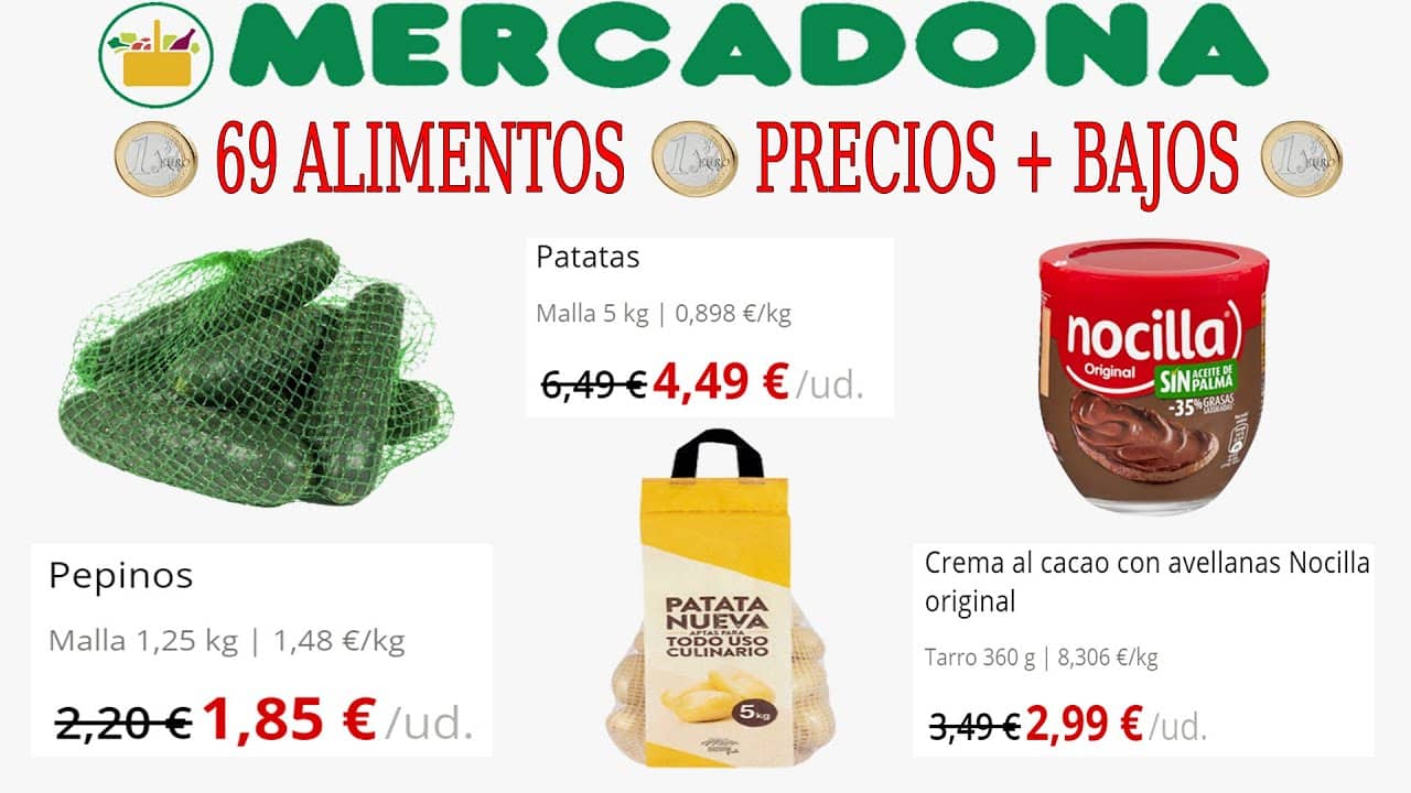 chinches-mercadona-trampas