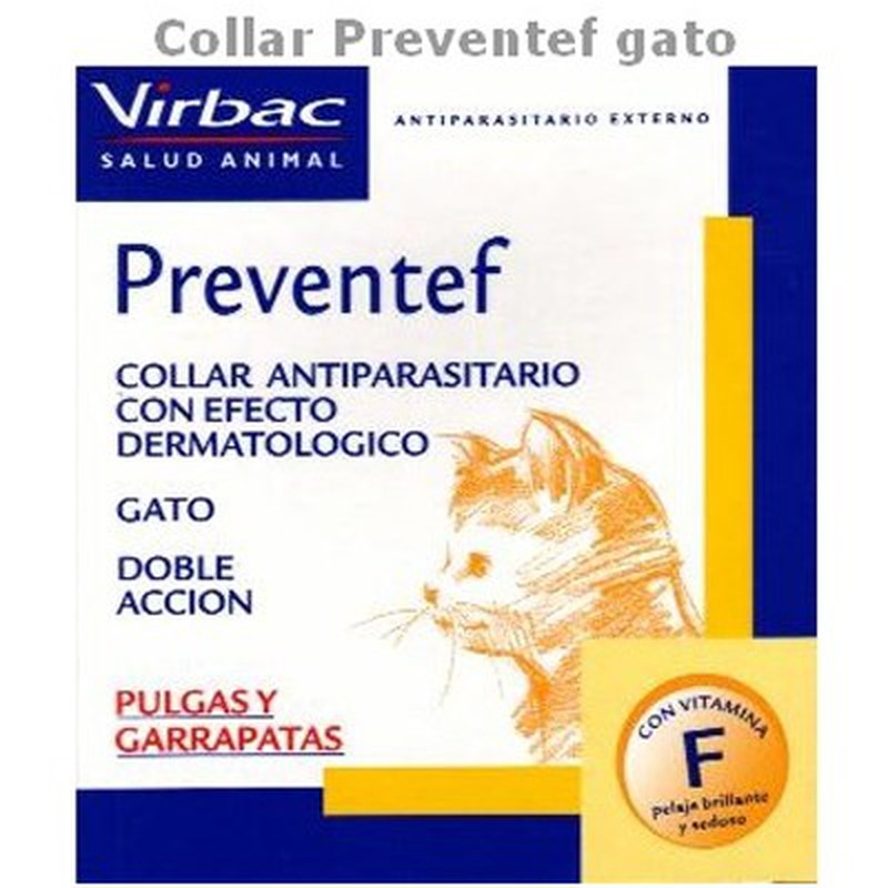 collar-antiparasitario-gatos