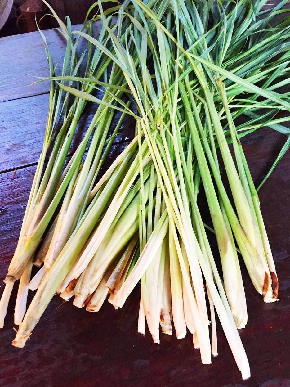 lemongrass-en-argentina