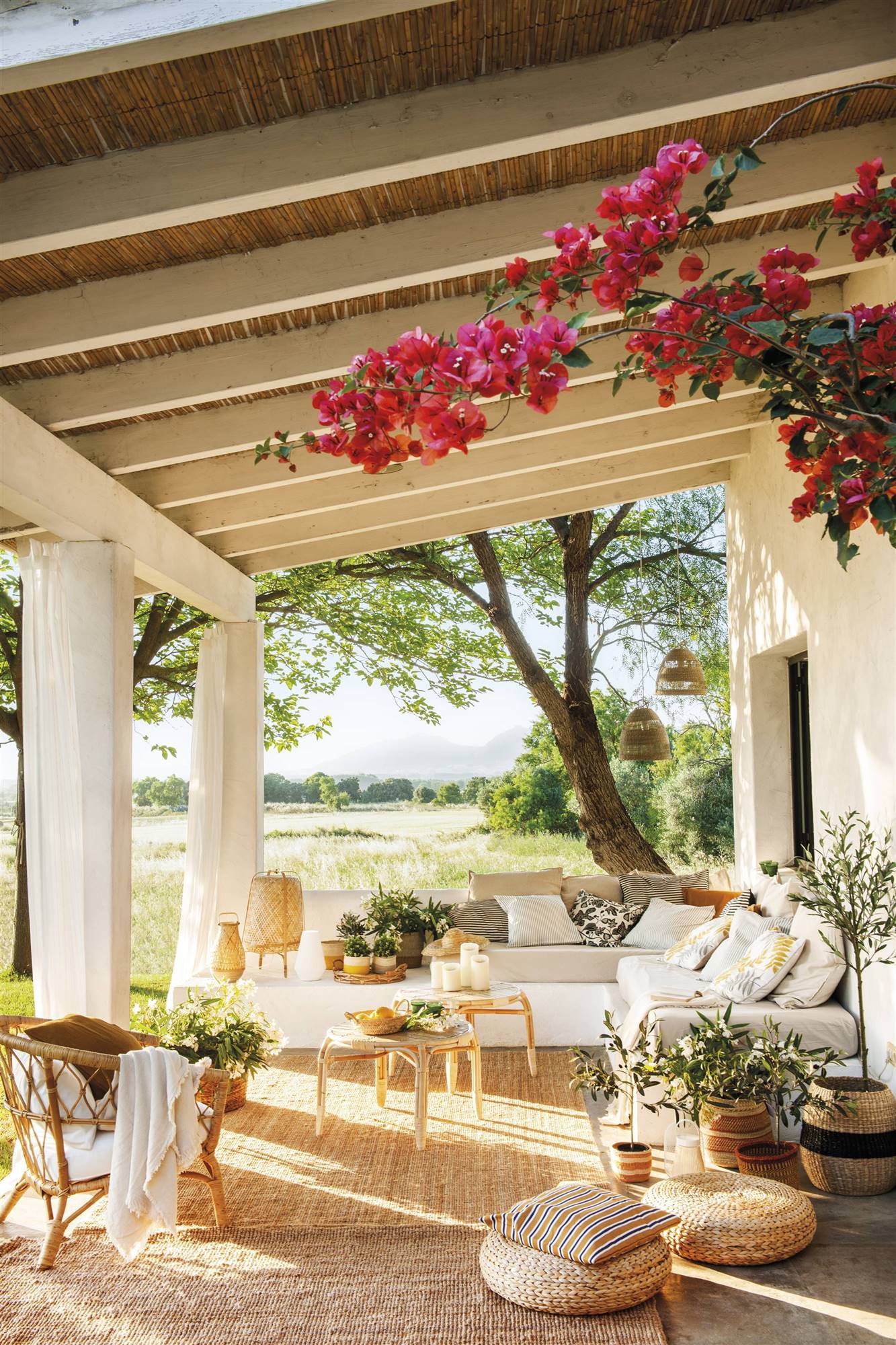 pergola-7×3-jardin-aire-libre