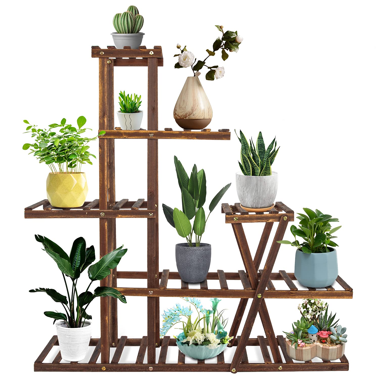 plantas-y-accesorios