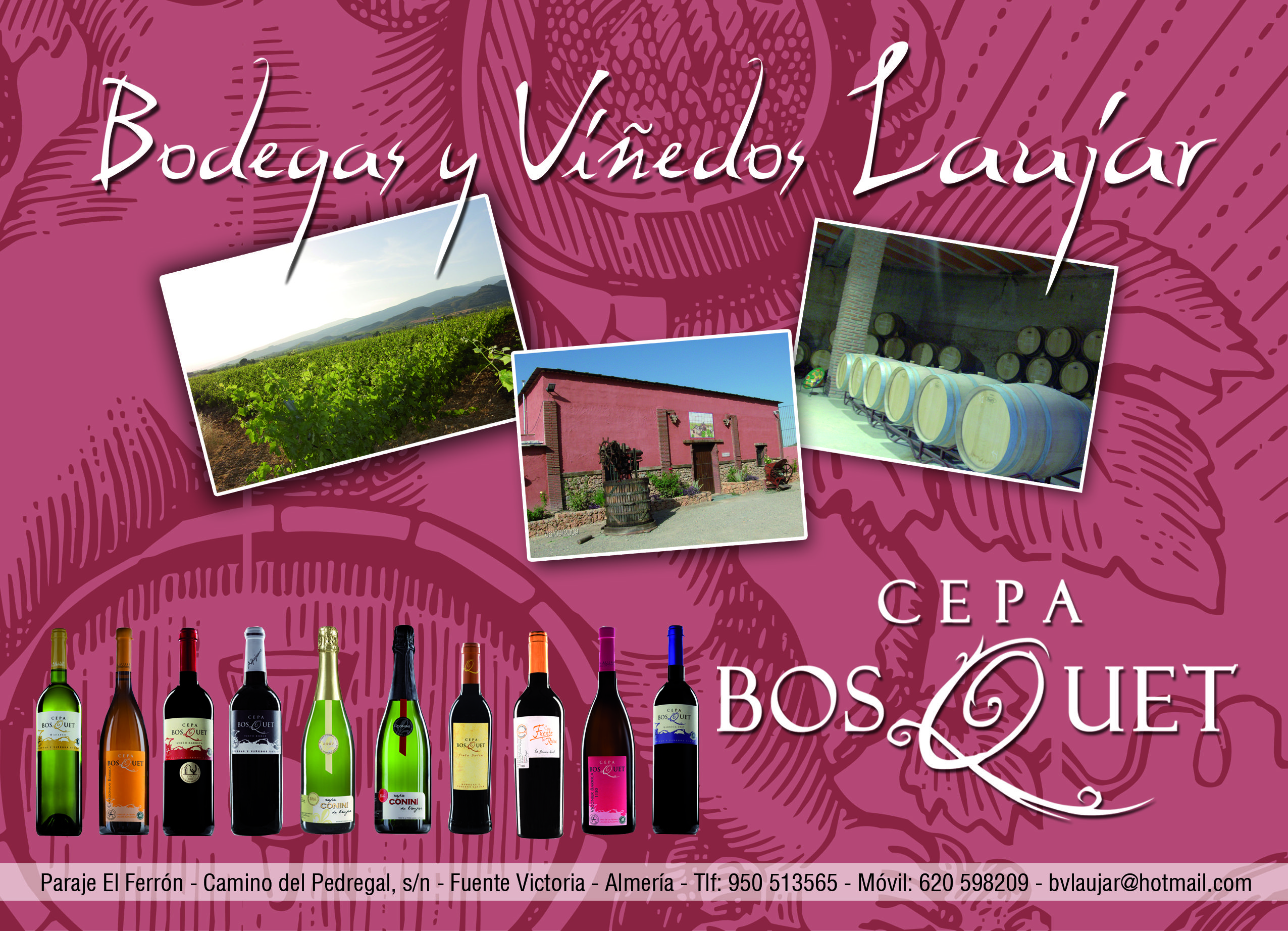 vinos-de-cordovin